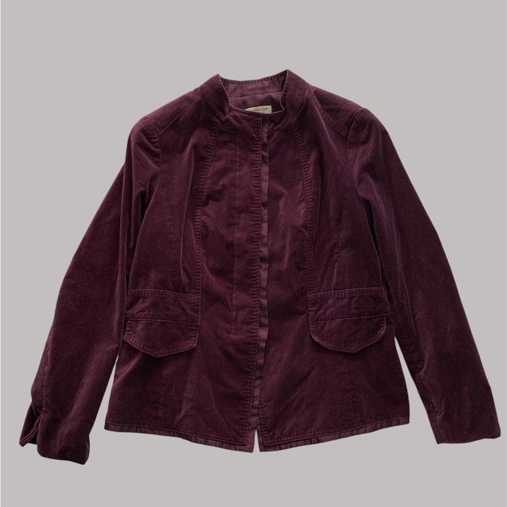 Purple Buttoned Velvet Lined Jacket Size 14 Whimsigoth